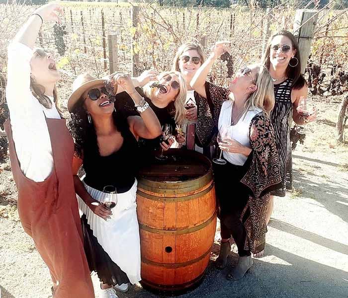 Timeless Napa Wine Tours Tours
